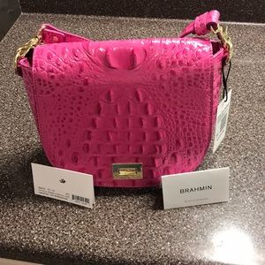 Pink Brahmin